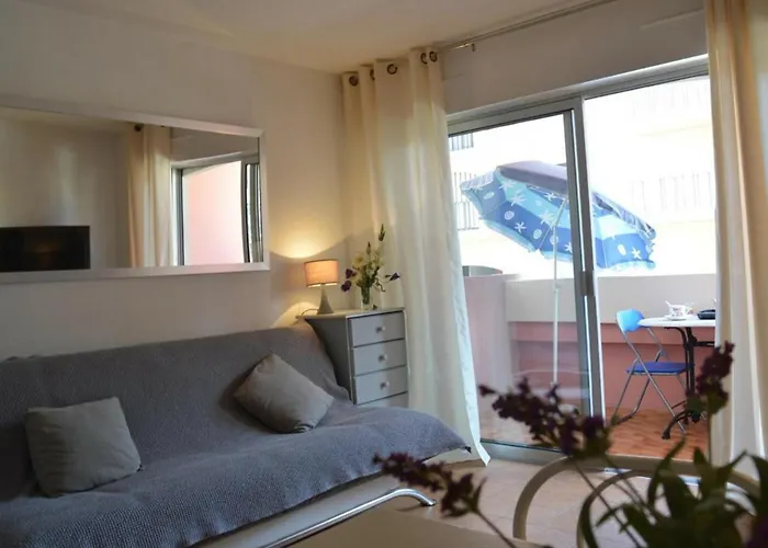 Апартаменти : Avec Piscine, Parking, Climatisation Et Terrasse - Fr-1-226-294 *