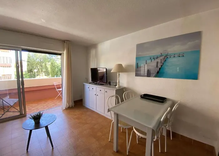 : Avec Piscine, Parking, Climatisation Et Terrasse - Fr-1-226-294 Сент-Максім