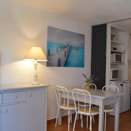 : Avec Piscine, Parking, Climatisation Et Terrasse - Fr-1-226-294 Апартаменты *
